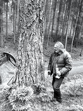 Wolfgang Schott BildhauerSymposium Erlebnisregion Hohenfelden